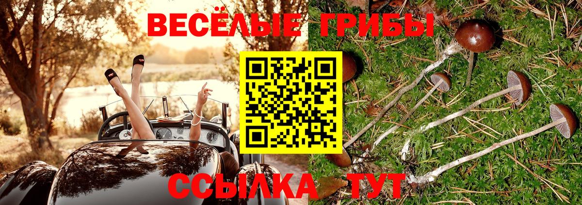 Галлюциногенные грибы Psilocybine cubensis Чапаевск